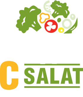 לוגו שיא סלט  פתח תקווה - בר בריאות וסלטים - משלוחי אוכל בפתח תקווה